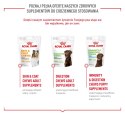 ROYAL CANIN Joint&Ageing Adult Dog Supplements 240g
