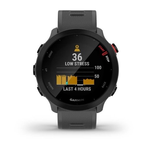 Zegarek sportowy Garmin Forerunner 55 42mm Szary