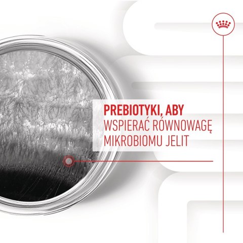 ROYAL CANIN Digestion Adult Dog Supplements 160g