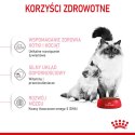 ROYAL CANIN Mother & Babycat 34 0,4kg