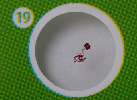 Zestaw preparatów roślinnych Levenhuk LabZZ P12