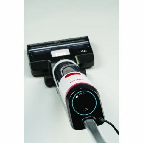 Czyszczenie Parowe POLTI WD10