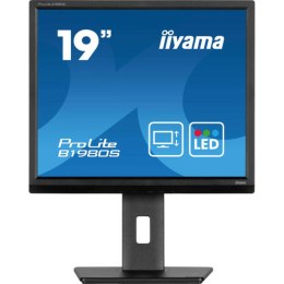 Monitor Iiyama B1980S-B1 19