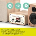 Miniwieża Hi-fi Pure PURE CLASSIC STEREO MINI