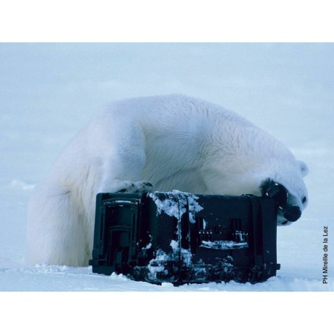 Walizkę z Narzędziami GT Line EXPLORER 2712 30,5 x 27 x 14,4 cm Metal polipropylen 27 L