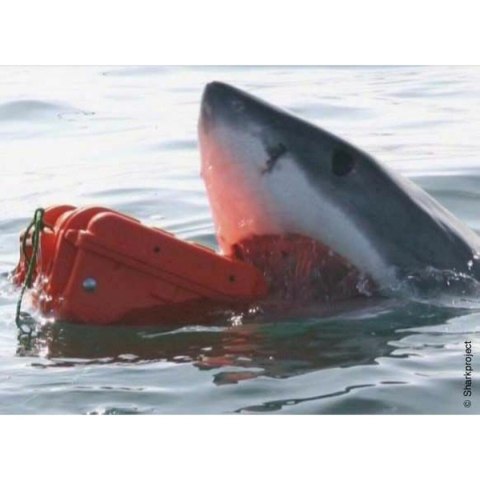 Walizkę z Narzędziami GT Line EXPLORER 2712 30,5 x 27 x 14,4 cm Metal polipropylen 27 L