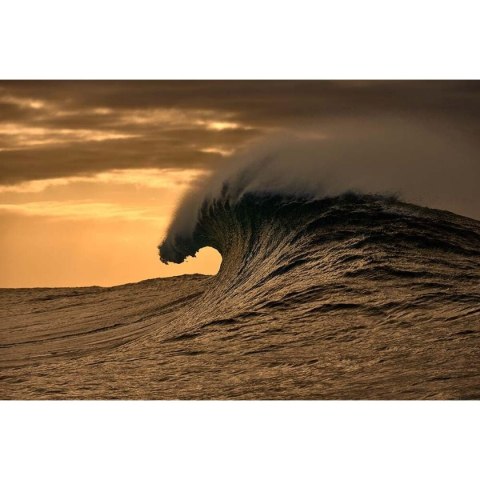 Ramki do okularów Damski O'Neill ONB-4031 52108