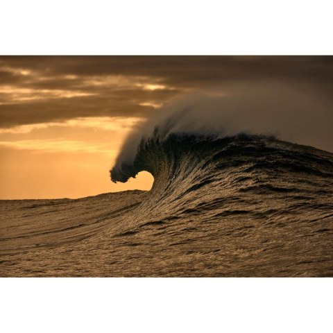 Ramki do okularów Damski O'Neill ONB-4031 52107