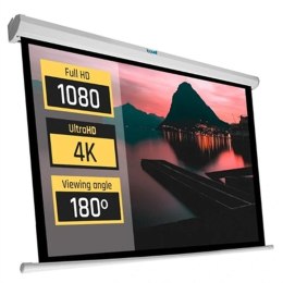 Ekran Projekcyjny iggual IGG319215