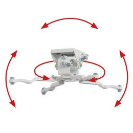 Uchwyt Stołowy do Monitora B-Tech BT899/W