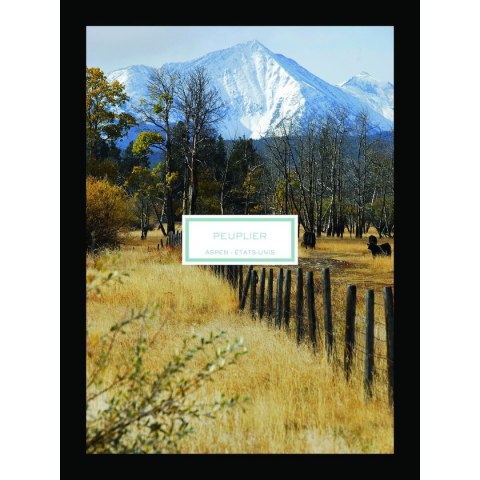 Świeczka Zapachowa Lalique