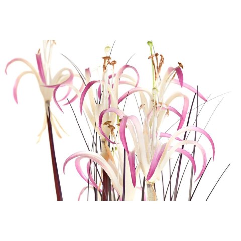 Roślina Dekoracyjna DKD Home Decor 45 x 45 x 140 cm Metal Pomarańczowy Kolor Zielony Bordeaux PVC (2 Sztuk)