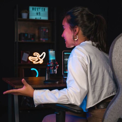 Mikrofon Woxter WE26-029