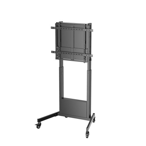 Uchwyt na TV Ewent EW1552 60" 100"