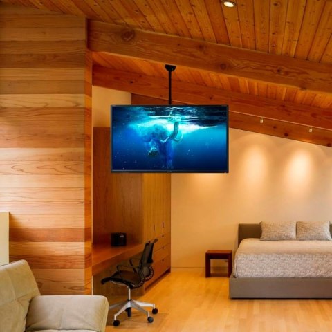 Uchwyt na TV approx! APPSTT03