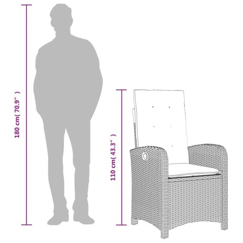 5-cz. zestaw mebli ogrodowych z poduszkami, szary, rattan PE