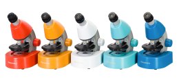 (PL) Mikroskop Levenhuk Discovery Micro z książką