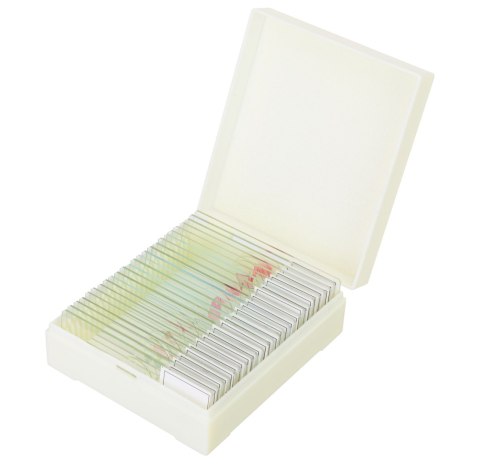 Zestaw mikropreparatów Levenhuk Discovery Prof DPS 25. „Biologia, ptaki itp."