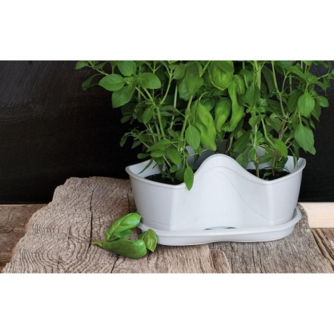 OGRÓD WERYKALNY DONICZKA KASKADA DO ZIÓŁ - GRAFIT