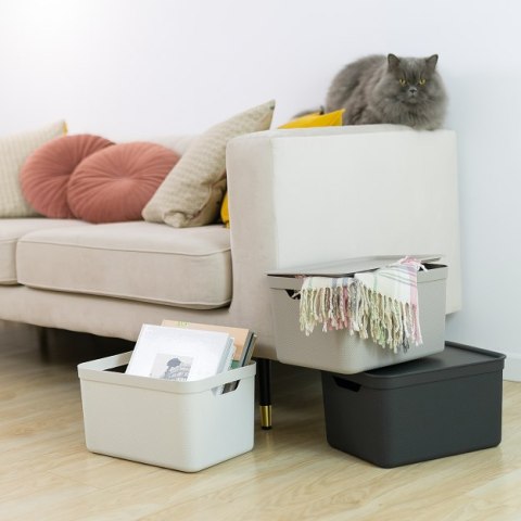 ROTHO Pojemnik do przechowywania JIVE DECO 16 l, antracytowy