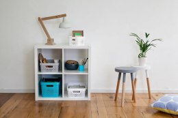 Pojemnik INFINITY DOTS 4,5L - szary