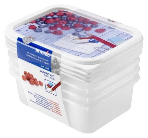 Rotho Zestaw pojemników do zamrażarki, 4 x 500 ml