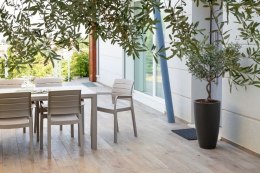 RECANATI krzesło plastikowe, szare