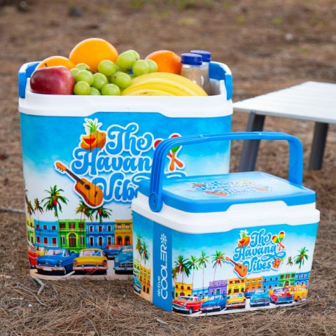 Przenośna Lodówka Aktive Plastikowy 37 x 35 x 27 cm (2 Sztuk)