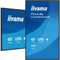Monitor Iiyama LH4364UHS-B1AG 43" 4K Ultra HD