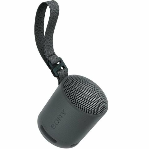 Głośnik Bluetooth Przenośny Sony XB100 Czarny