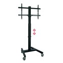 Stojak TV na podłogę z kółkami OMB 0.284 32" 55" 40 kg