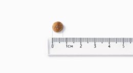 John Dog GOOD Adult wieprzowina z wołowiną12kg