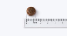 JOHN DOG Good Form Kurczak z wołowiną Adult Średnie i duże rasy - sucha karma dla psa - 12 kg