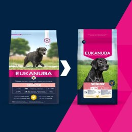 EUKANUBA Caring Senior Large Breed - sucha karma dla psa - 15kg
