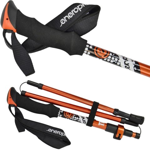 KIJE NORDIC WALKING TRIP W POKROWCU ENERO PRO