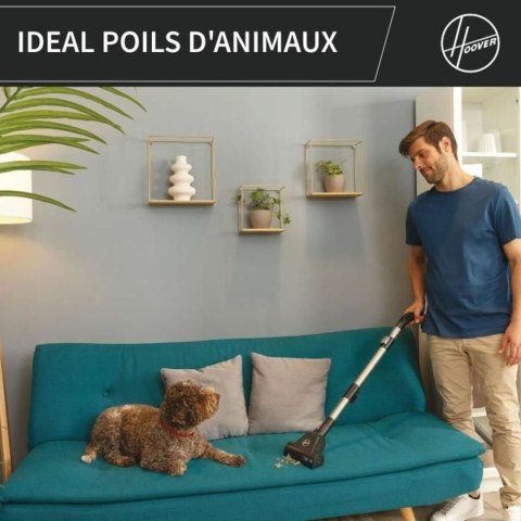 Odkurzacz Hoover HP321PAF Szary 850 W