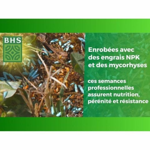 Nasiona BHS Gazon Anglais 10 kg