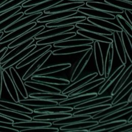 Siatka Kryjąca Nature Kolor Zielony