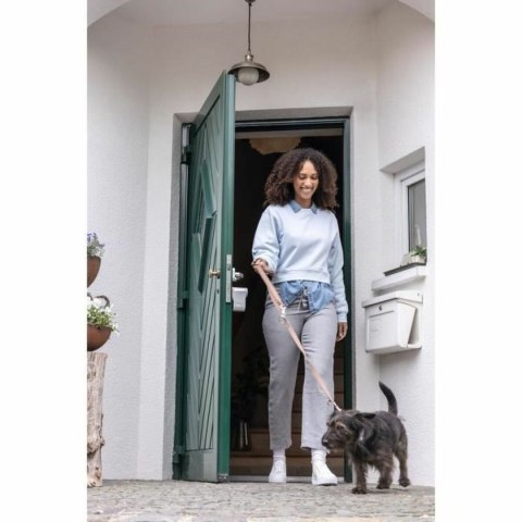 Inteligentna blokada ABUS LOXERIS One CFA4100 S Szary Metal 17 x 9 x 29 cm