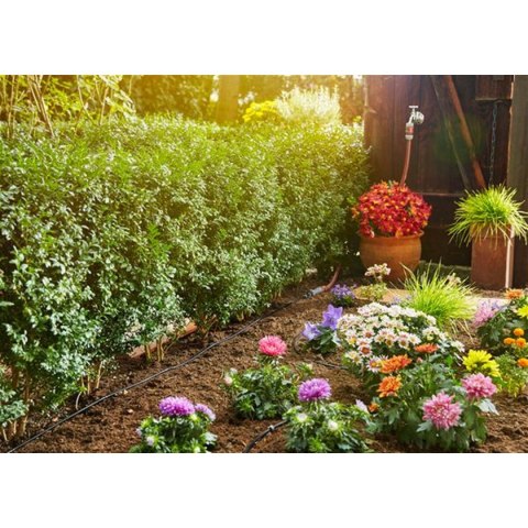 System nawadniania kropelkowego Gardena