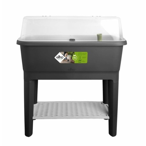 Szklarnia Elho Czarny Plastikowy 78,5 cm