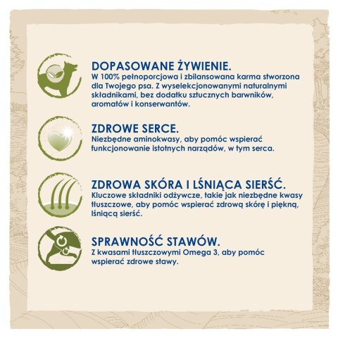 PURINA DOG CHOW Adult Large Breed - sucha karma dla psa - 14kg