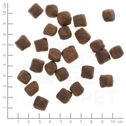 WOLFSBLUT Dark Forest fierce/sweet potatos 12,5kg