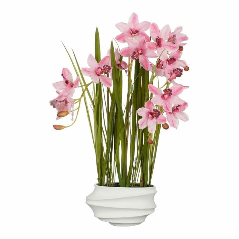 Roślina Dekoracyjna Mica Decorations Cymbidium Poliester Storczyk 81 x 49 x 40 cm Sztuczna