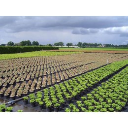 Siatka Kryjąca Faura Czarny