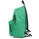 Plecak szkolny Eastpak Kolor Zielony 40 x 30 x 18 cm