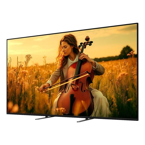 Smart TV Sony X65XR55B 65 65" 4K Ultra HD LED ULED HDR WiFi Miracast DVB-T2 Google Assistant DVB-S2 Dolby Vision QD Mini LED
