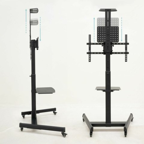 Słuchawki TooQ FS1184M-B 70" 80 kg