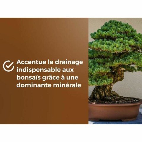 Ziemia do roślin OR BRUN BROWN GOLD 6 L