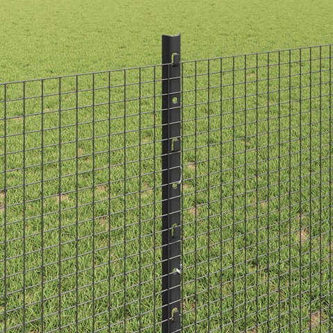 Płot i Słup Szary 0,8 x 100 m Stal